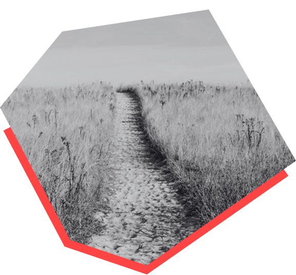 sandy path surrounded by grass