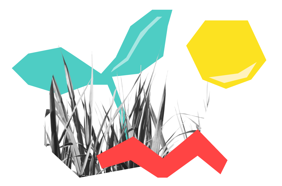 abstract image of grass, a seedling and a sun