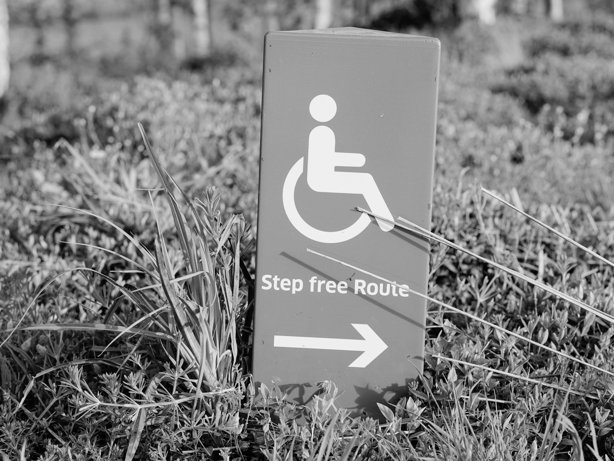 A black and white image of a sign positioned in a field of grass. The sign features the International Symbol of Access and the text Step free Route