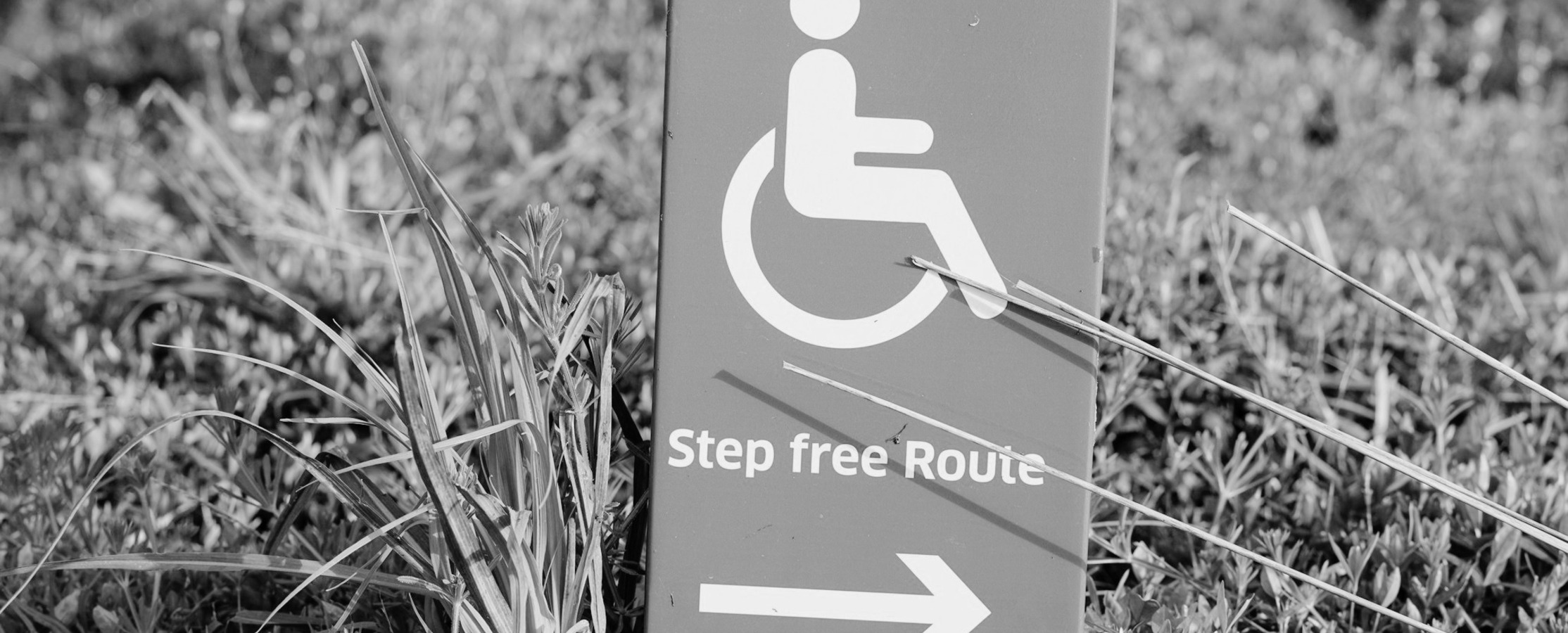 A black and white image of a sign positioned in a field of grass. The sign features the International Symbol of Access and the text Step free Route