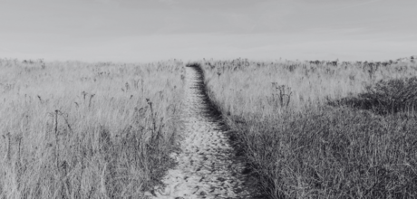 Black and white photo of a walking path to beach.