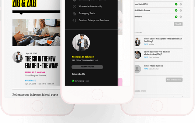 Multiple phones displaying the CIO Executive Council website