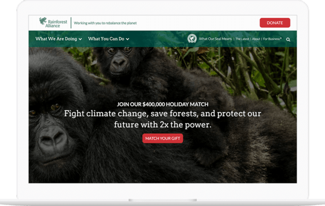 Rainforest Alliance website displayed on a computer