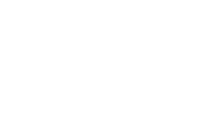 White pencil sketch of a raven holding a feather in its beak.