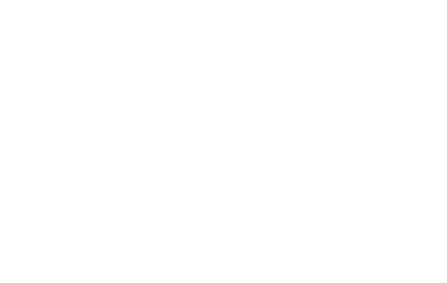Logo of Massachusetts state outline in a circuit pattern for Massachusetts Digital Services