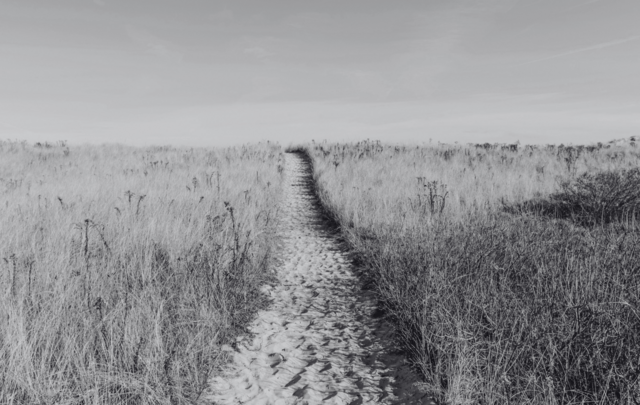 Black and white photo of a walking path to beach.