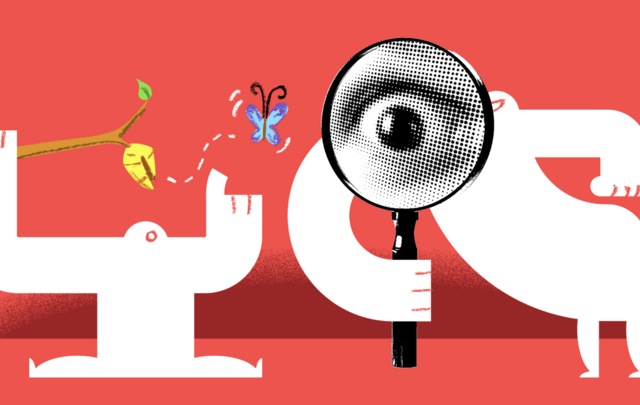 illustration of Yetis inspecting a butterfly