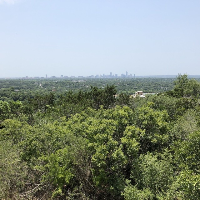 Mt. Bonnell forest with city of Austin in the distance 