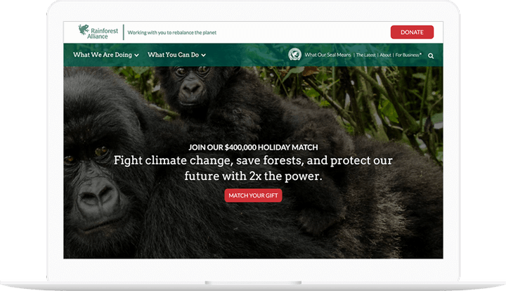 Rainforest Alliance website displayed on a computer